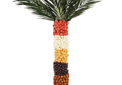 Fruit Palm Tree